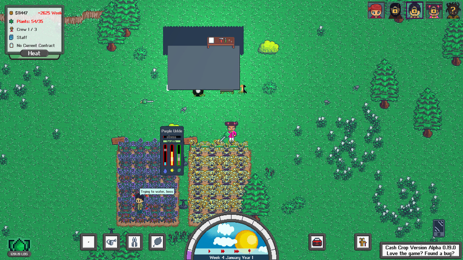 Cash Crop - кадр 2