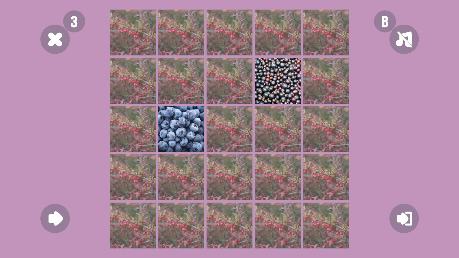 Berry couple - кадр 1