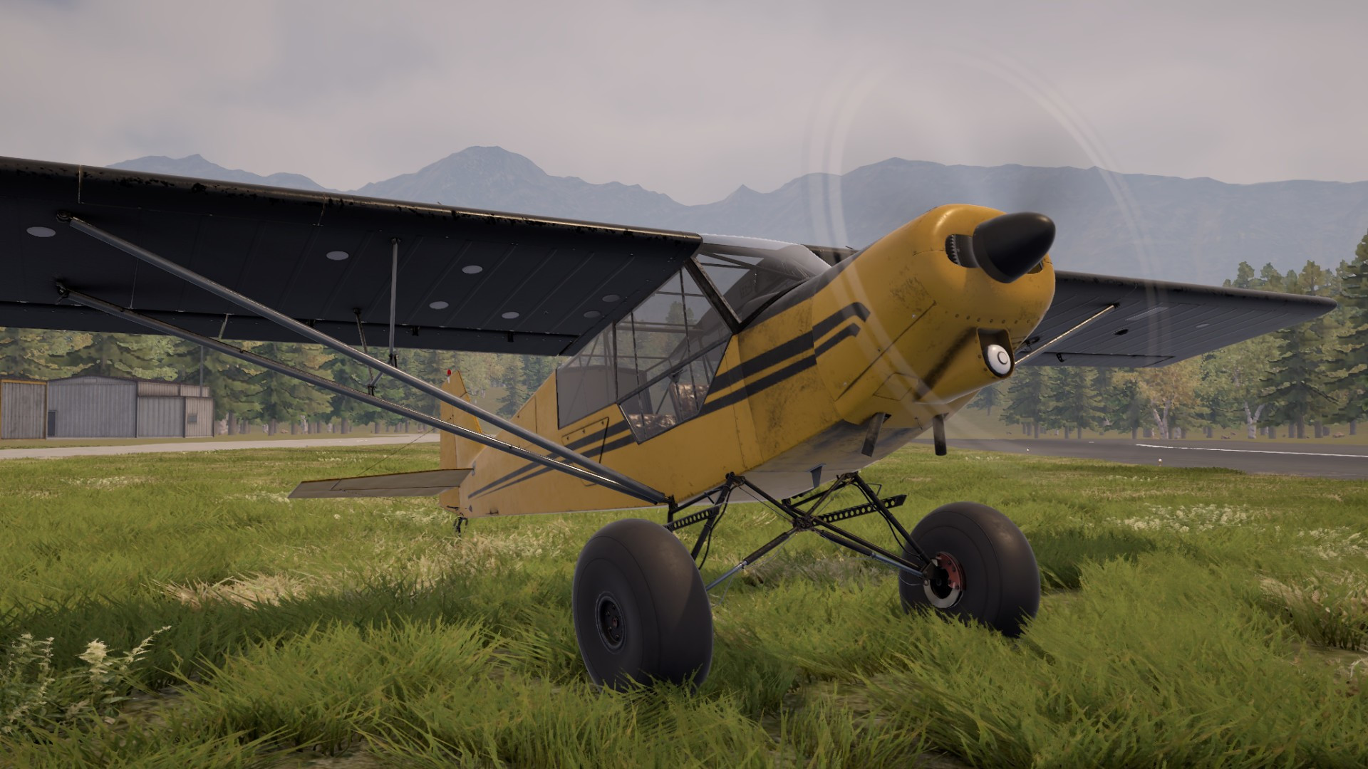 Deadstick - Bush Flight Simulator - кадр 5