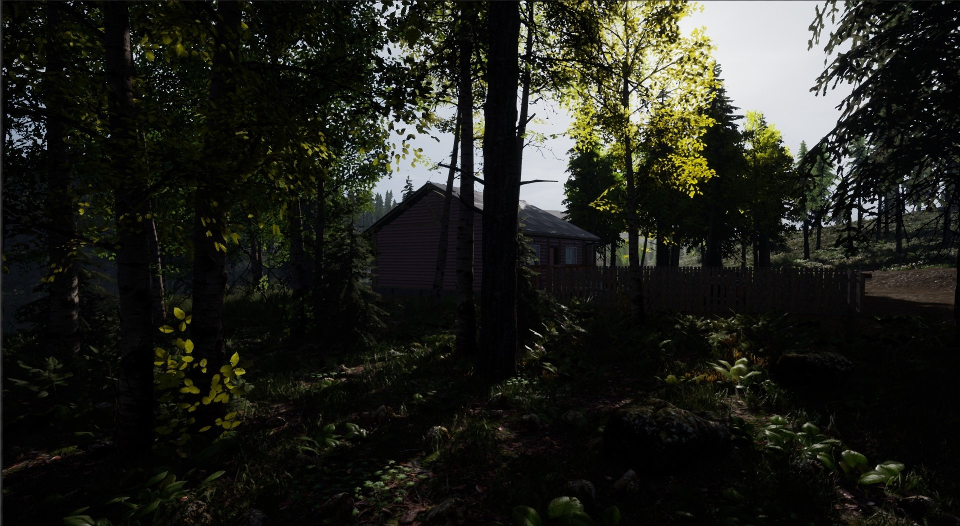 REBORN: Survival - кадр 4