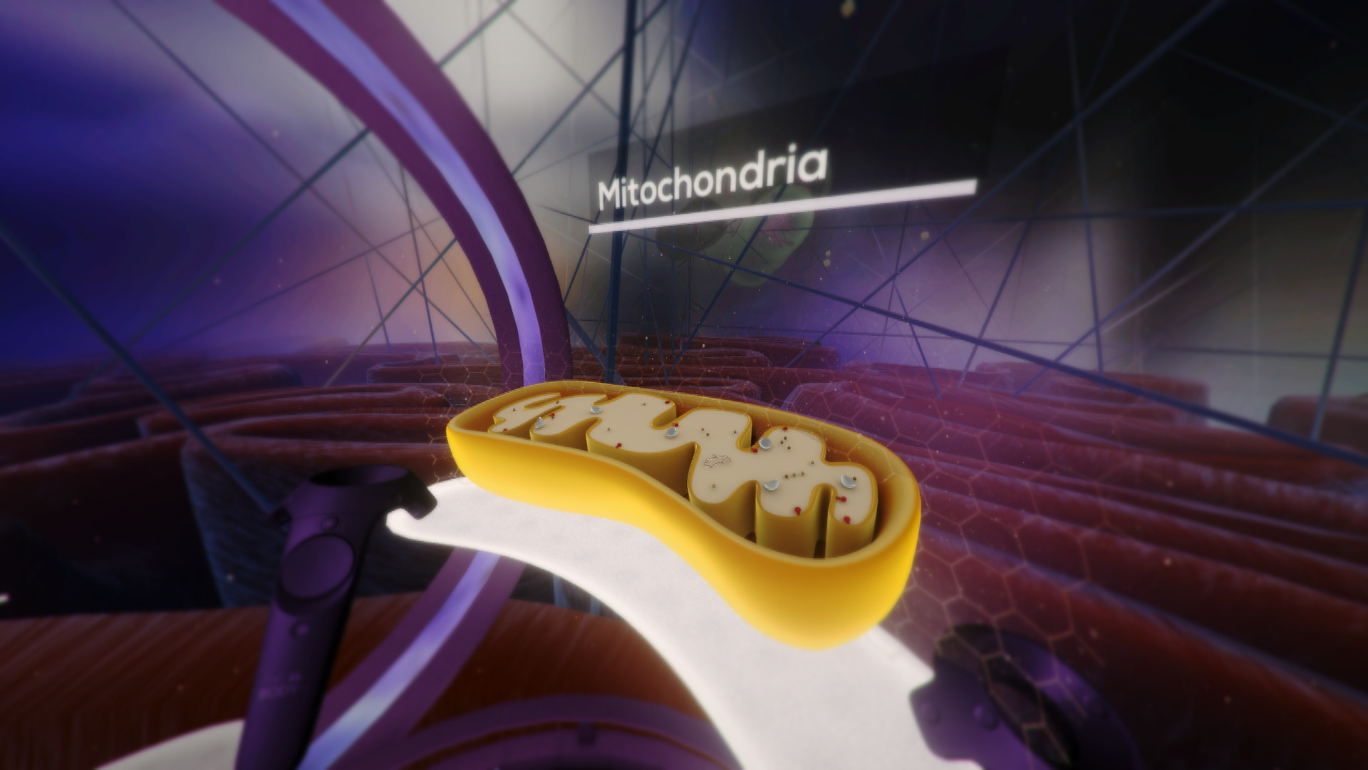 The Body VR: Journey Inside a Cell - кадр 4