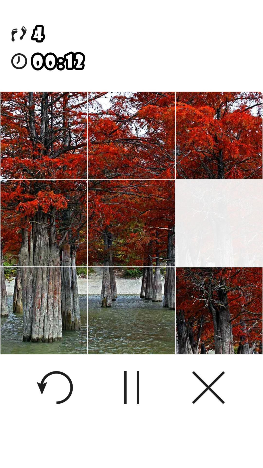 Game Of Fifteen (15 Puzzle) With Pictures (itch) - кадр 6