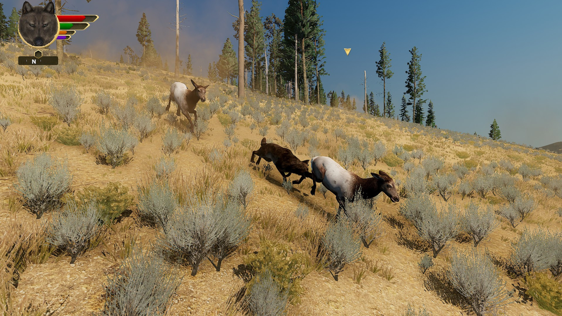 WolfQuest: Anniversary Edition - кадр 7