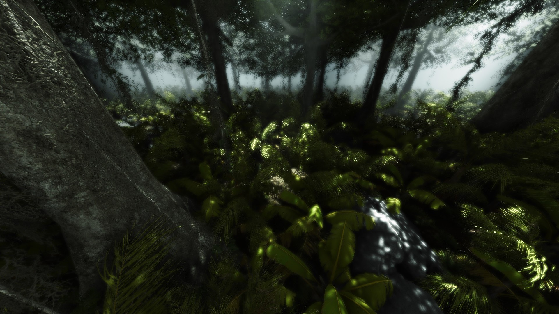 Jungle Hostages - кадр 6