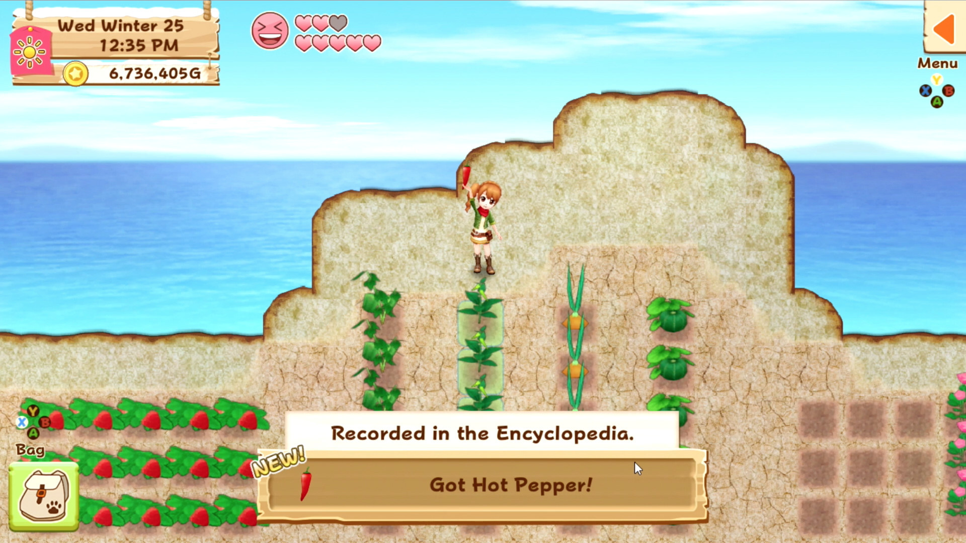 Harvest Moon: Light of Hope - кадр 3