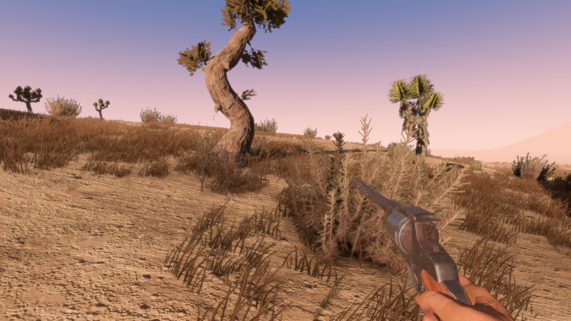 Sunset Rangers - кадр 8