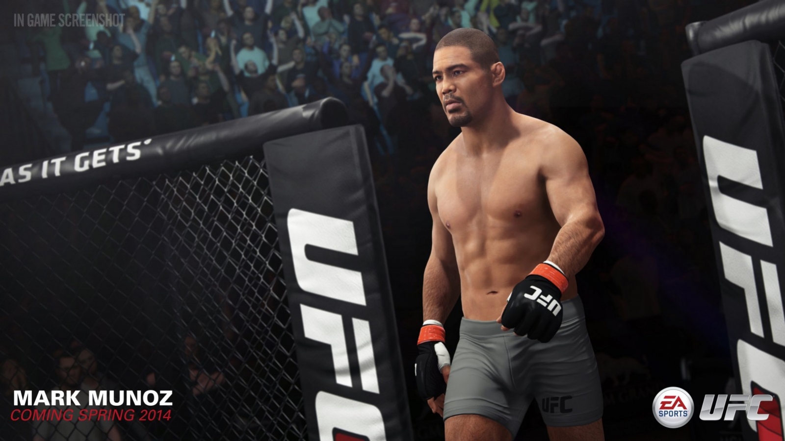 EA Sports UFC - кадр 13