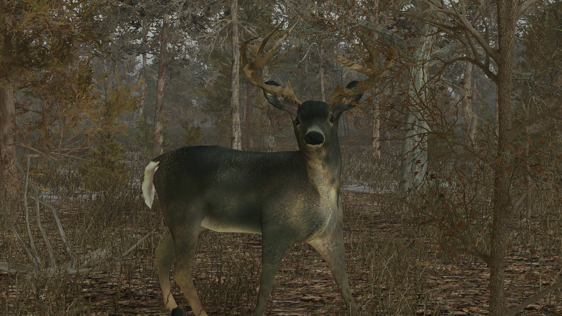 Pro Deer Hunting - кадр 6