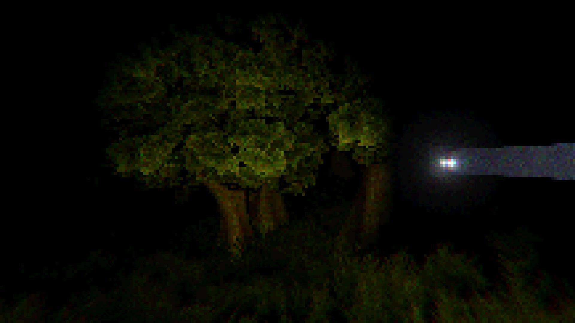 THE FOREST - PSX STYLE (GamerARTS) (itch) - кадр 2