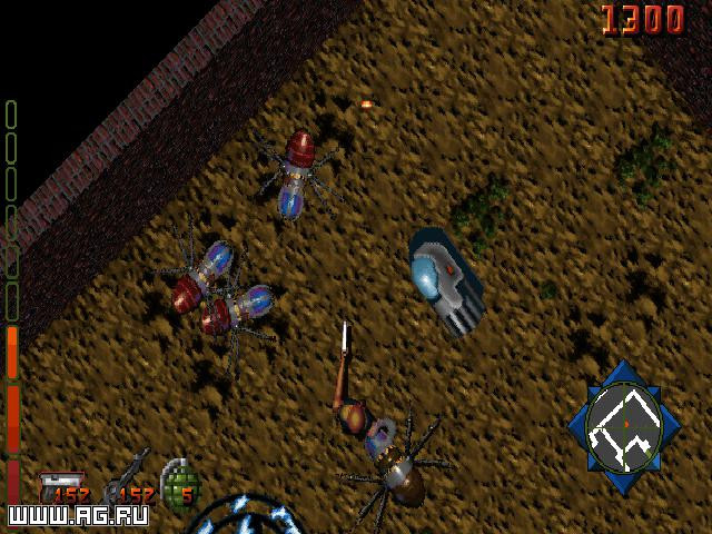 Project Paradise - кадр 2