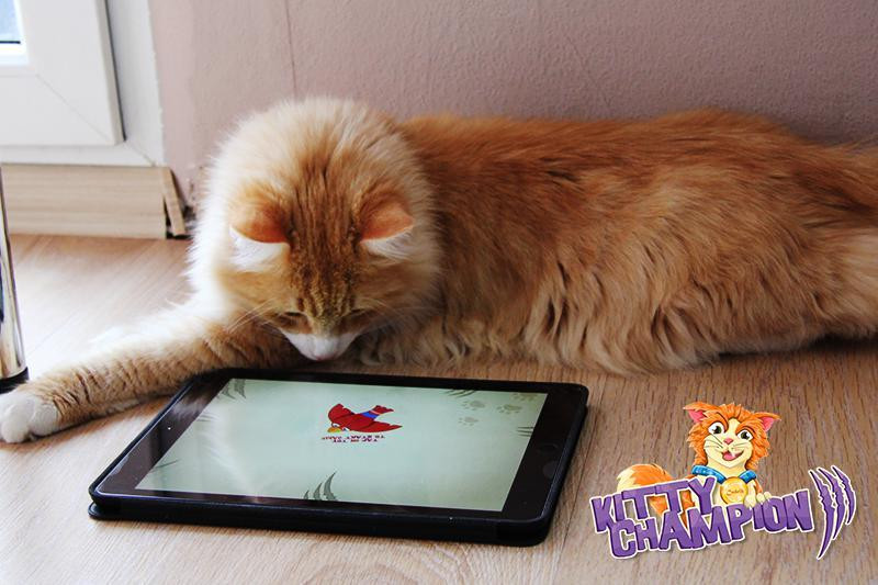 Kitty Champion (itch) - кадр 2