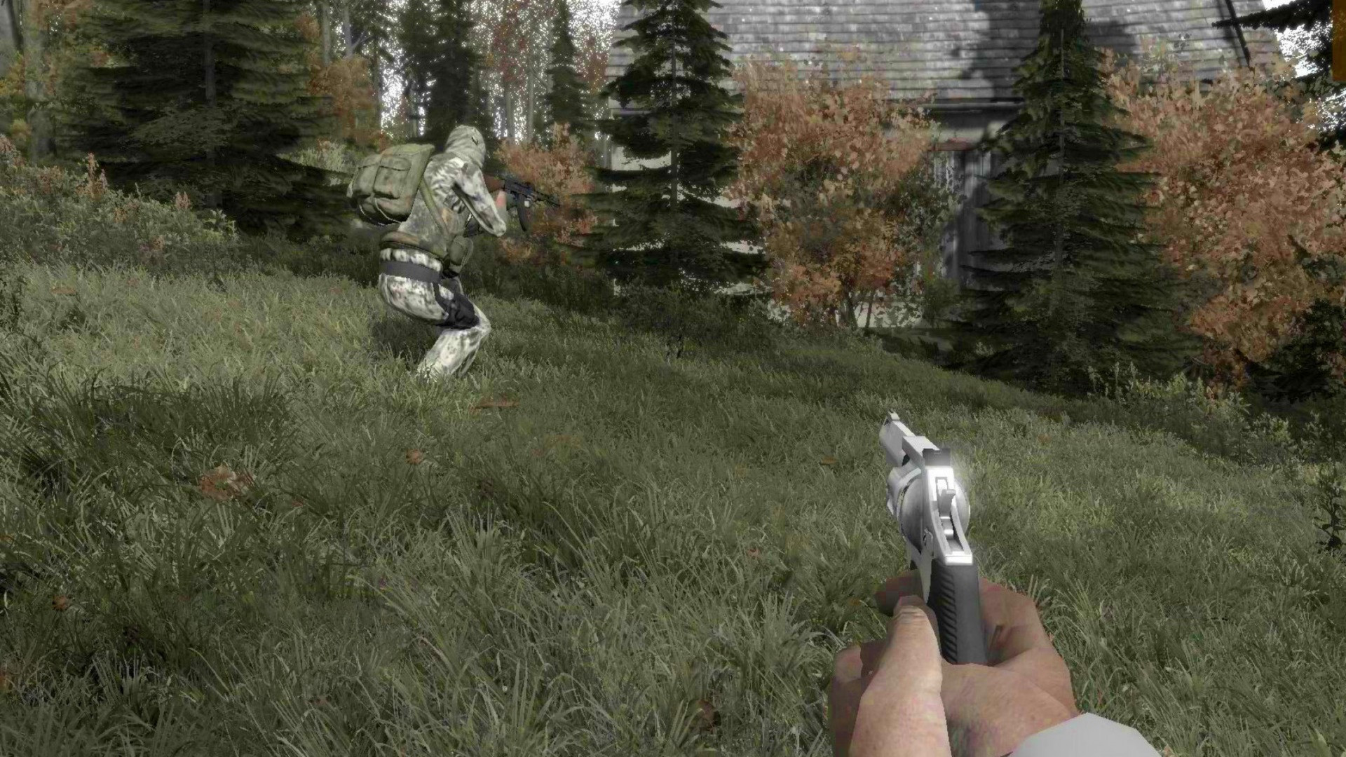 Arma 2: DayZ Mod - кадр 4
