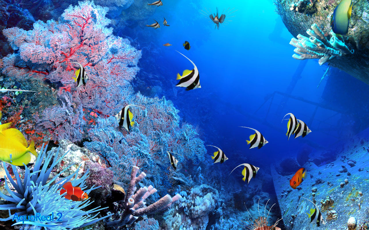 DigiFish Aqua Real 2 - кадр 5