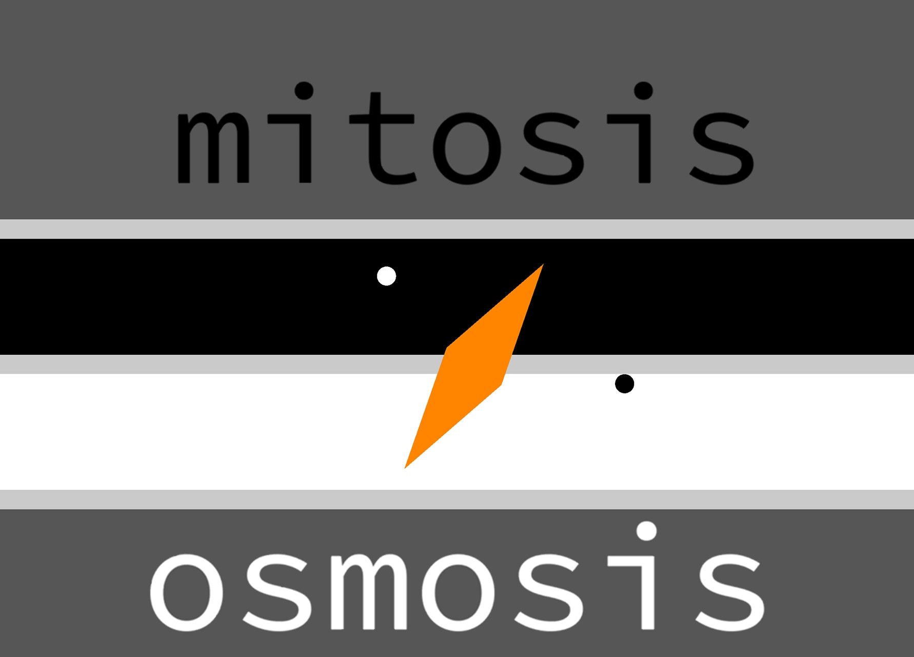 mitosis:osmosis (itch) - кадр 1