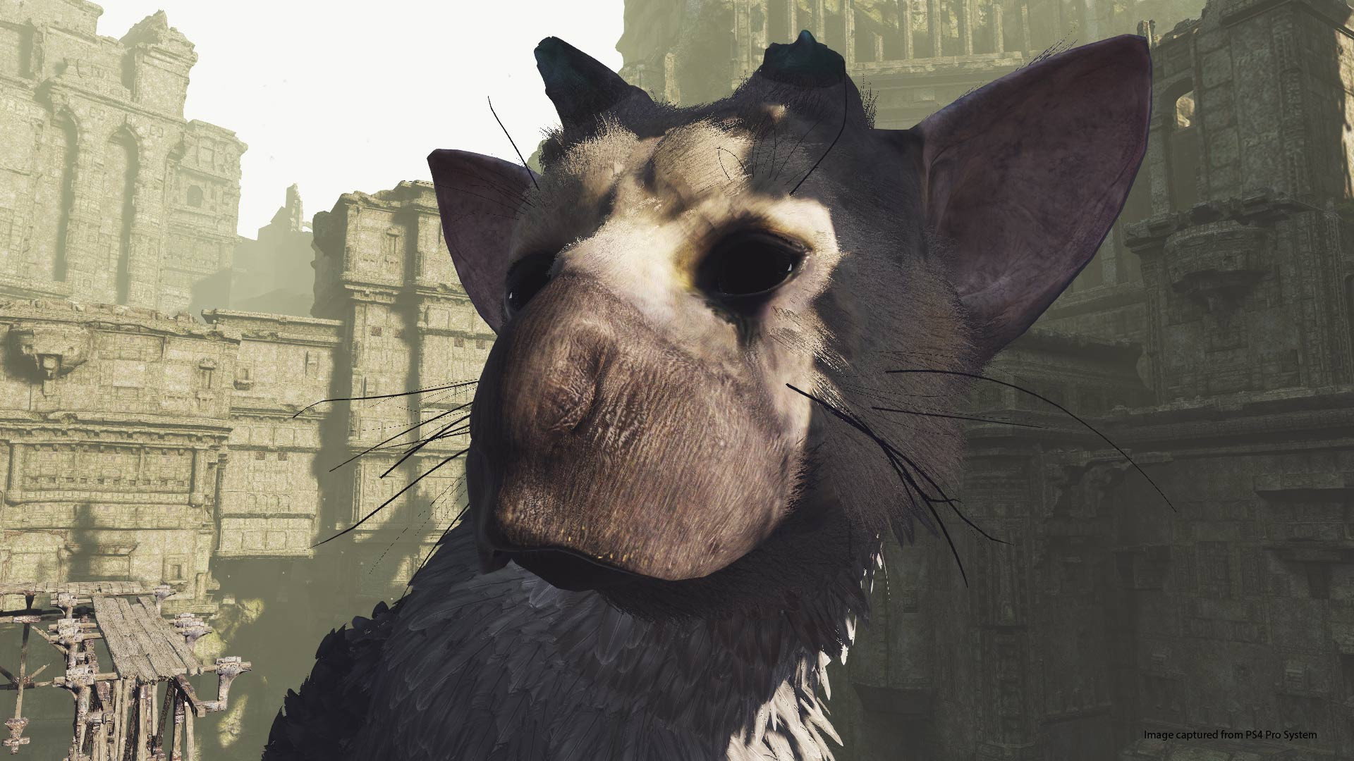 The Last Guardian VR Demo - кадр 4