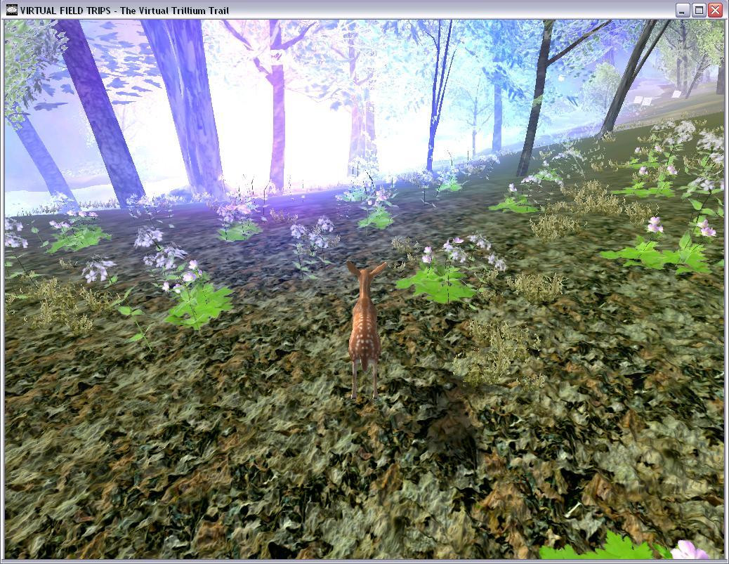 The Virtual Trillium Trail v. 2.0.4 (itch) - кадр 4