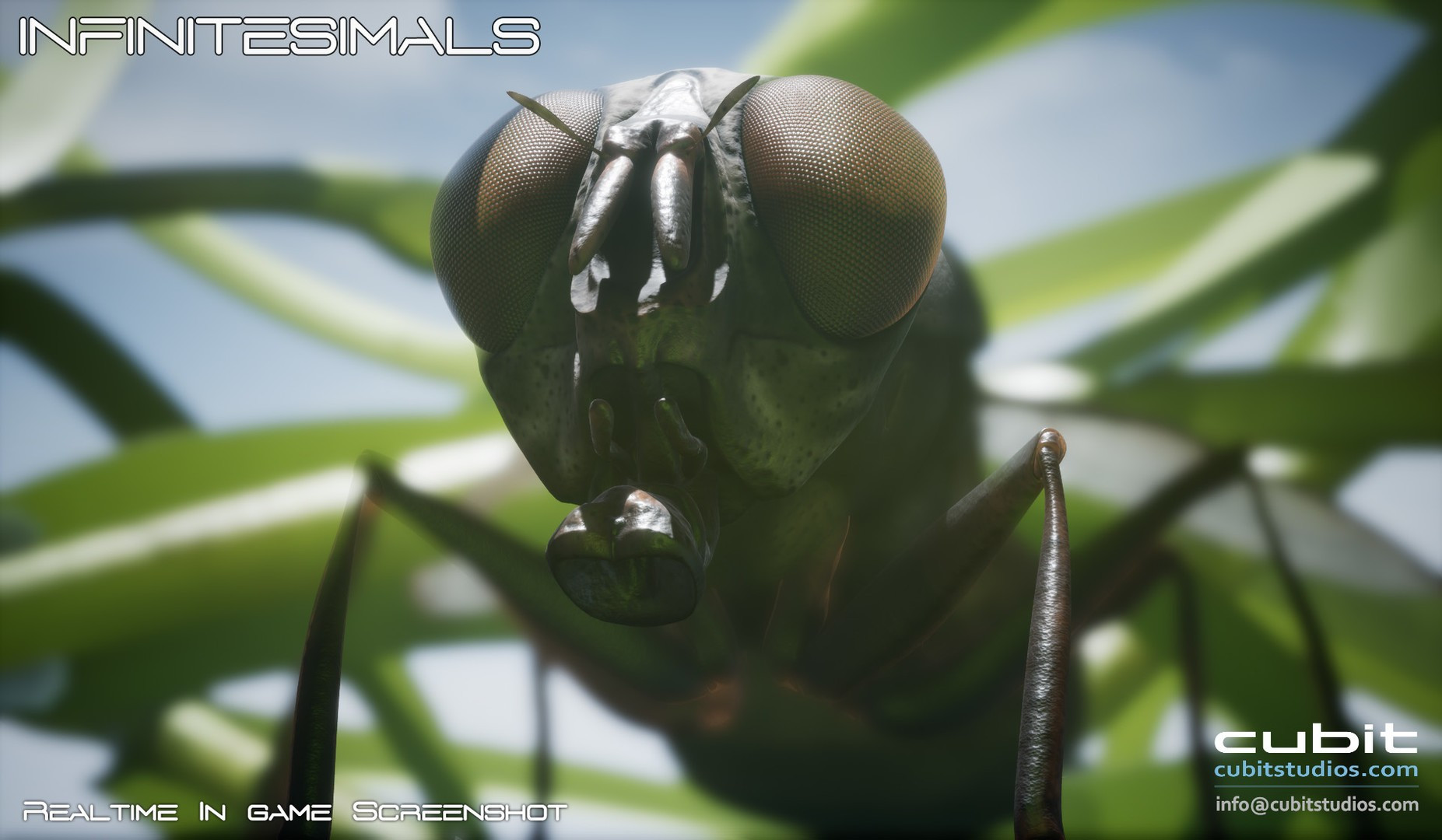 Infinitesimals - кадр 6