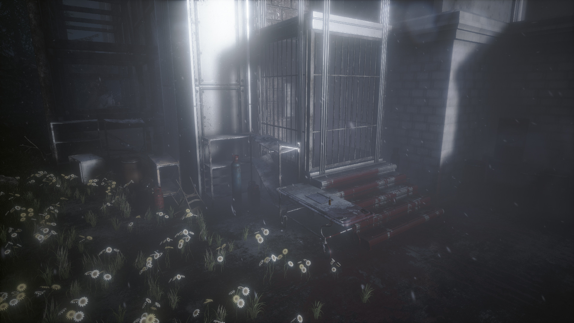 The Butterfly Sign: Human Error - кадр 11