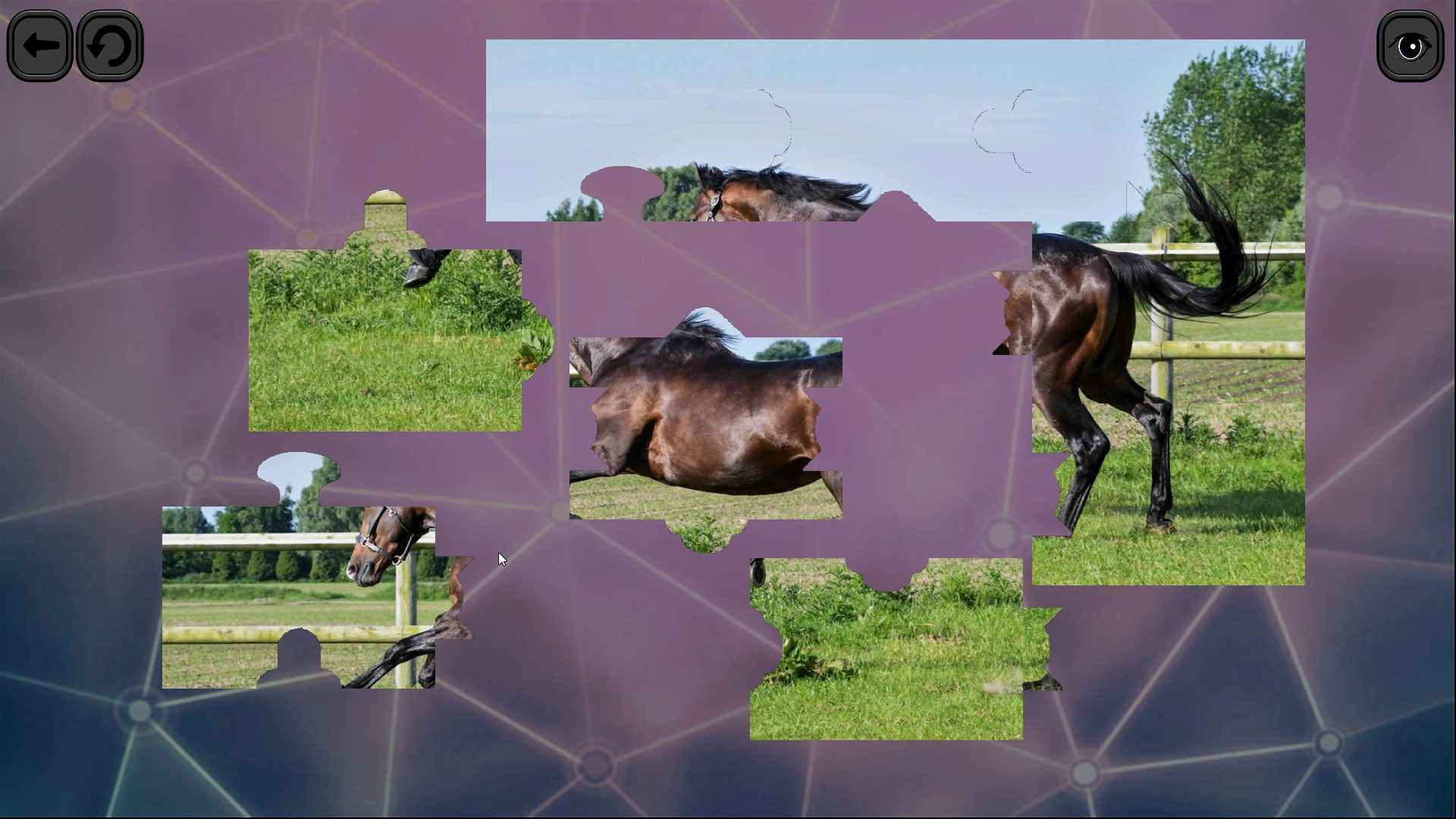 Puzzles for smart: Horses - кадр 3