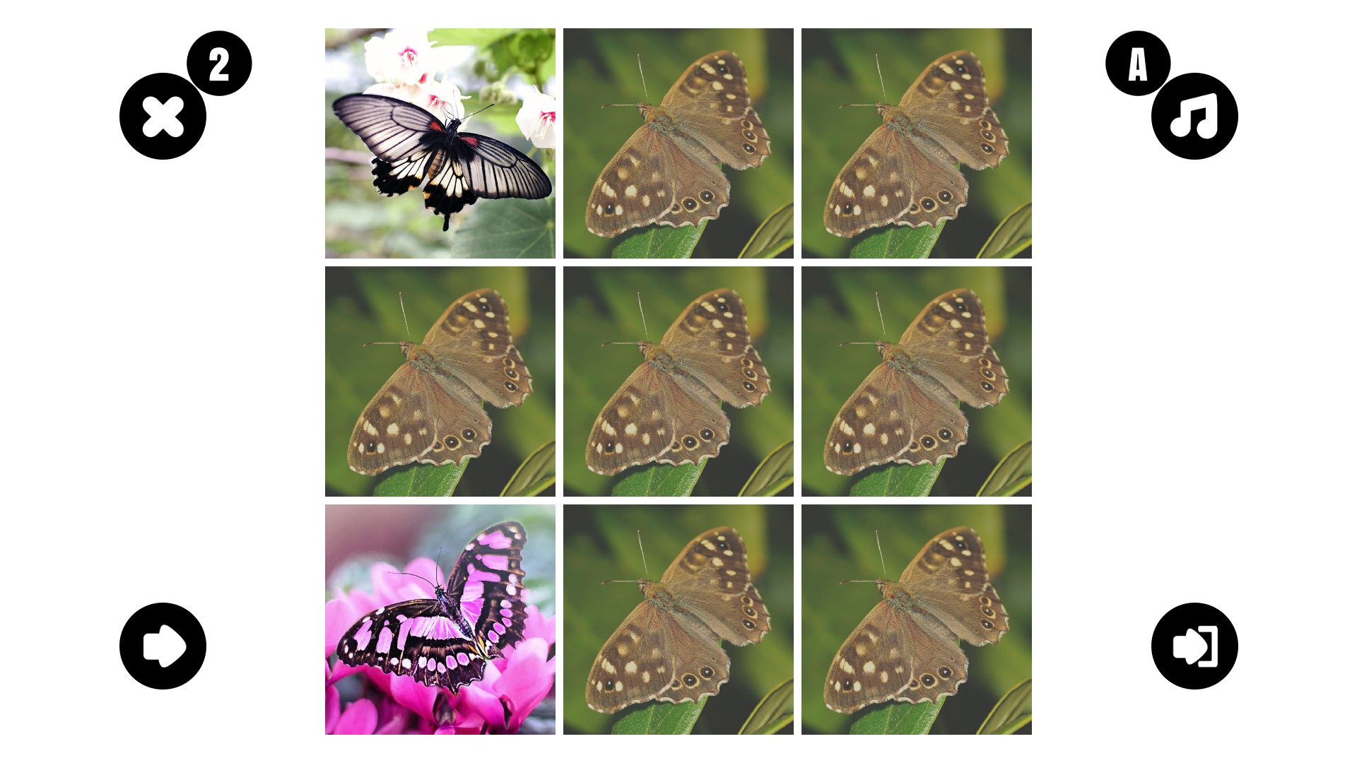 Butterfly couple - кадр 2