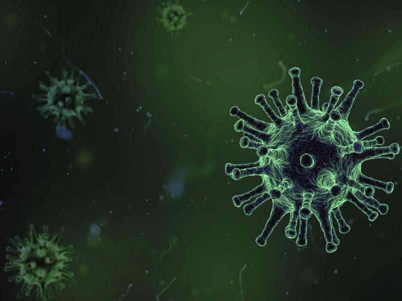 A small biology world (itch) - кадр 1