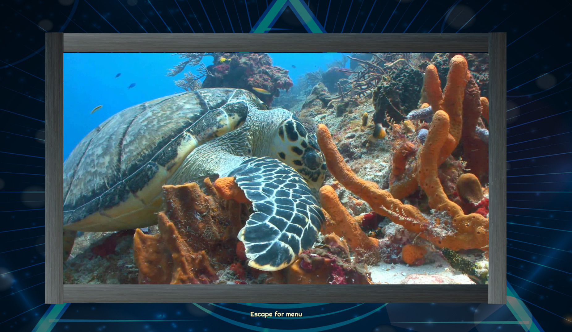 Trials of the Illuminati: Sea Creatures Jigsaws - кадр 2