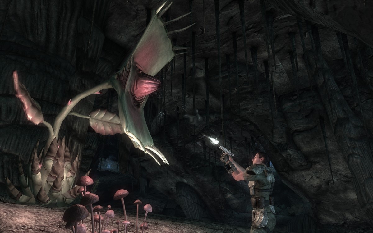 Fallout: New Vegas - Honest Hearts - кадр 15