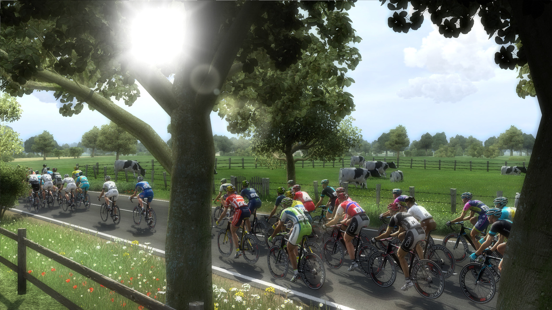 Pro Cycling Manager Season 2014: Le Tour de France - кадр 3