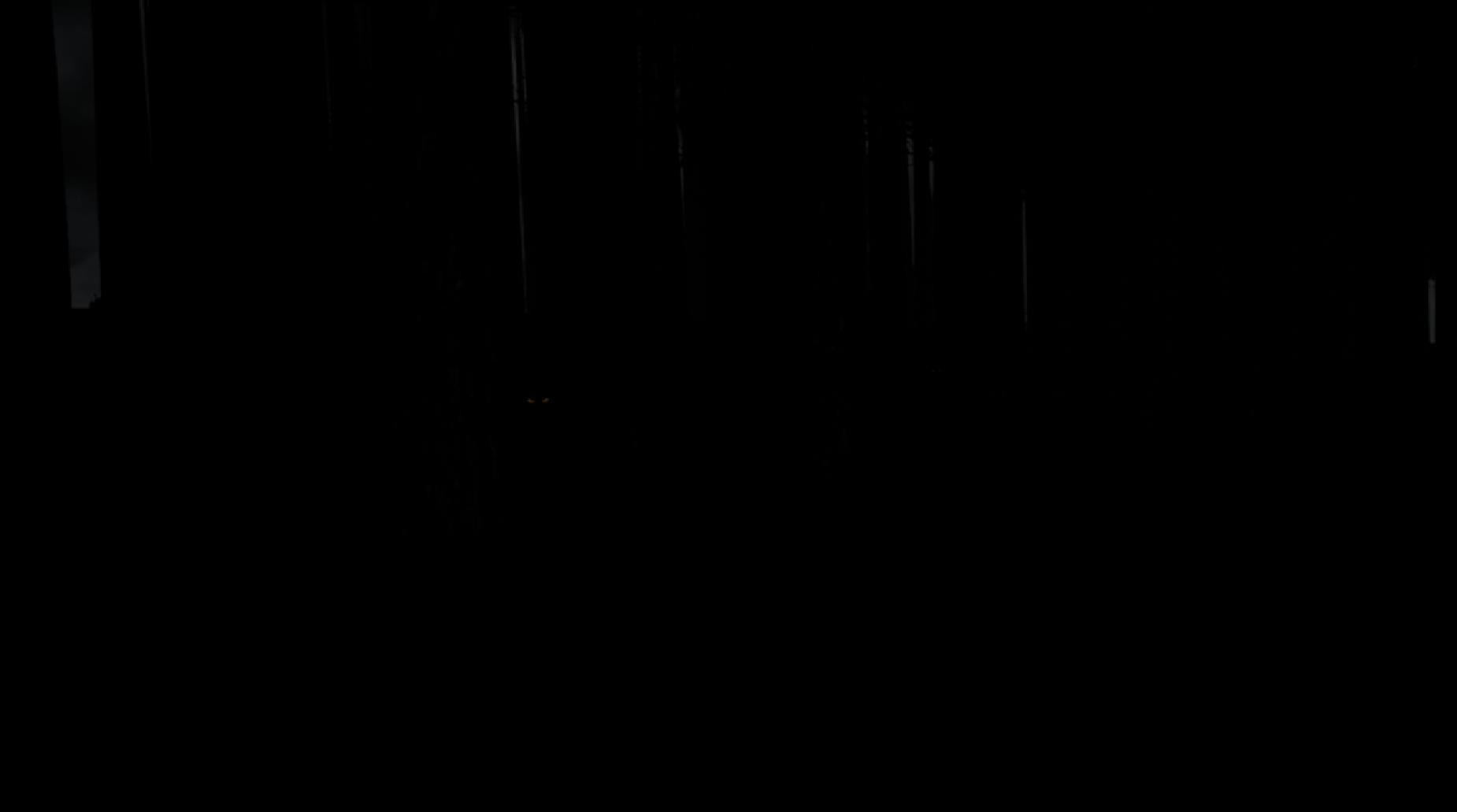 VR Forest (itch) - кадр 1
