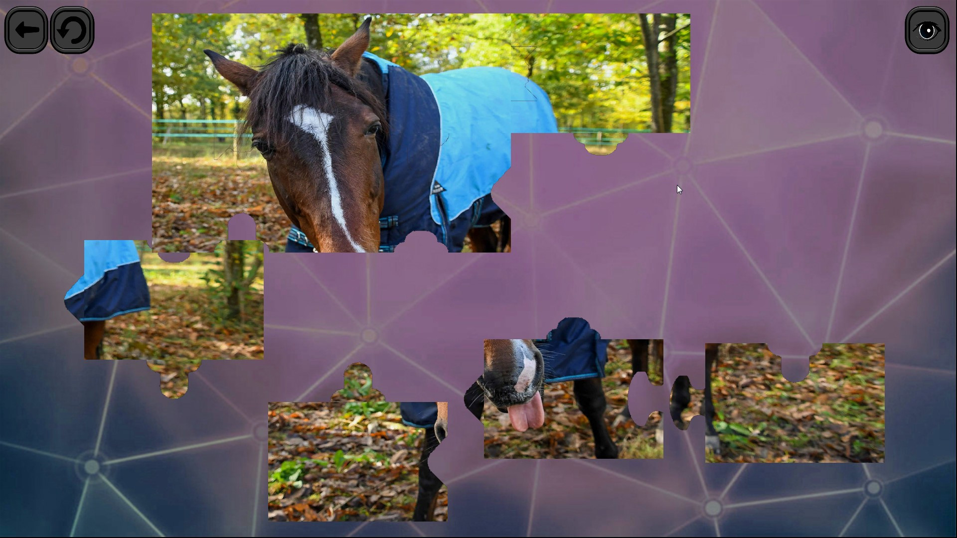 Puzzles for smart: Horses - кадр 4
