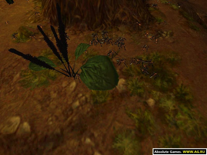 Empire Of The Ants - кадр 9