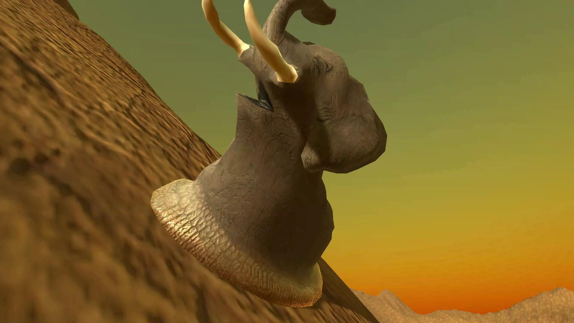 Elephantidae Gastropod Mollusc (itch) - кадр 2