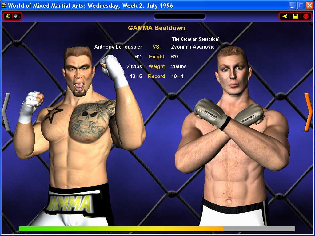 World of Mixed Martial Arts - кадр 5