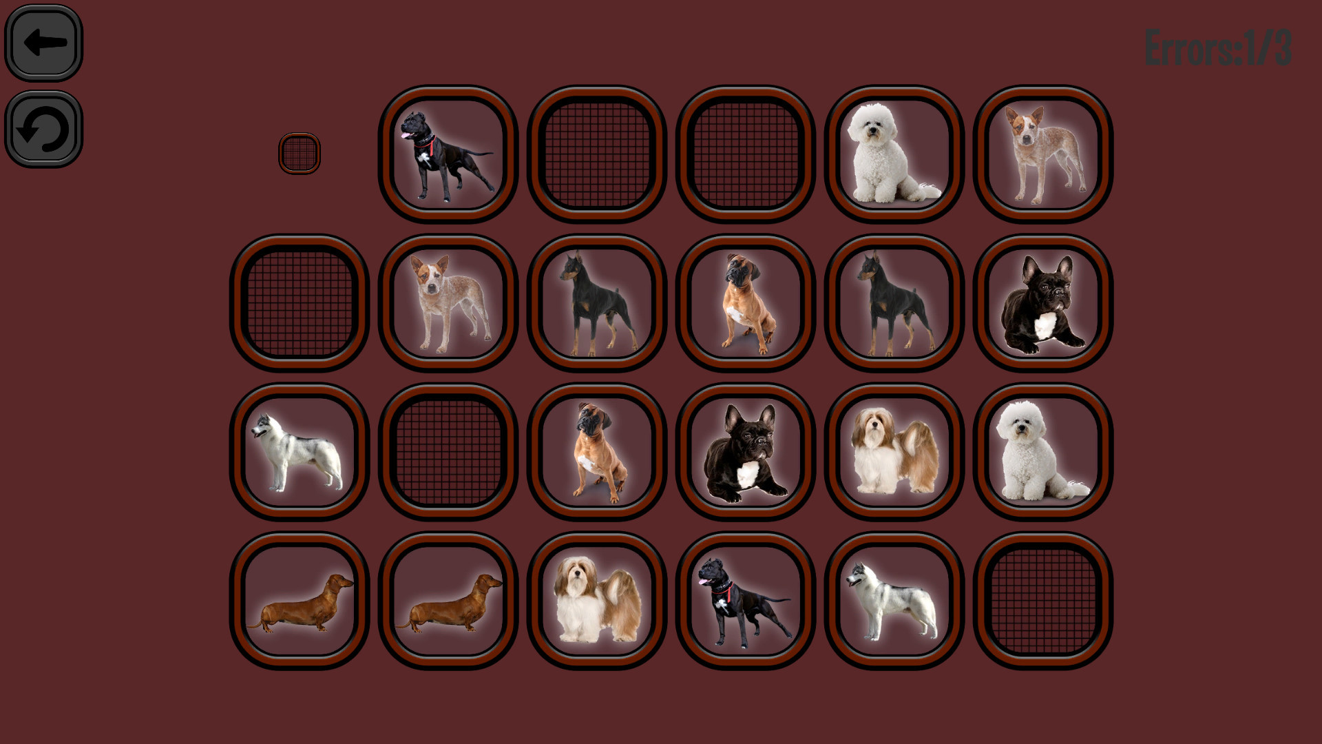 Animals Memory: Dogs - кадр 3