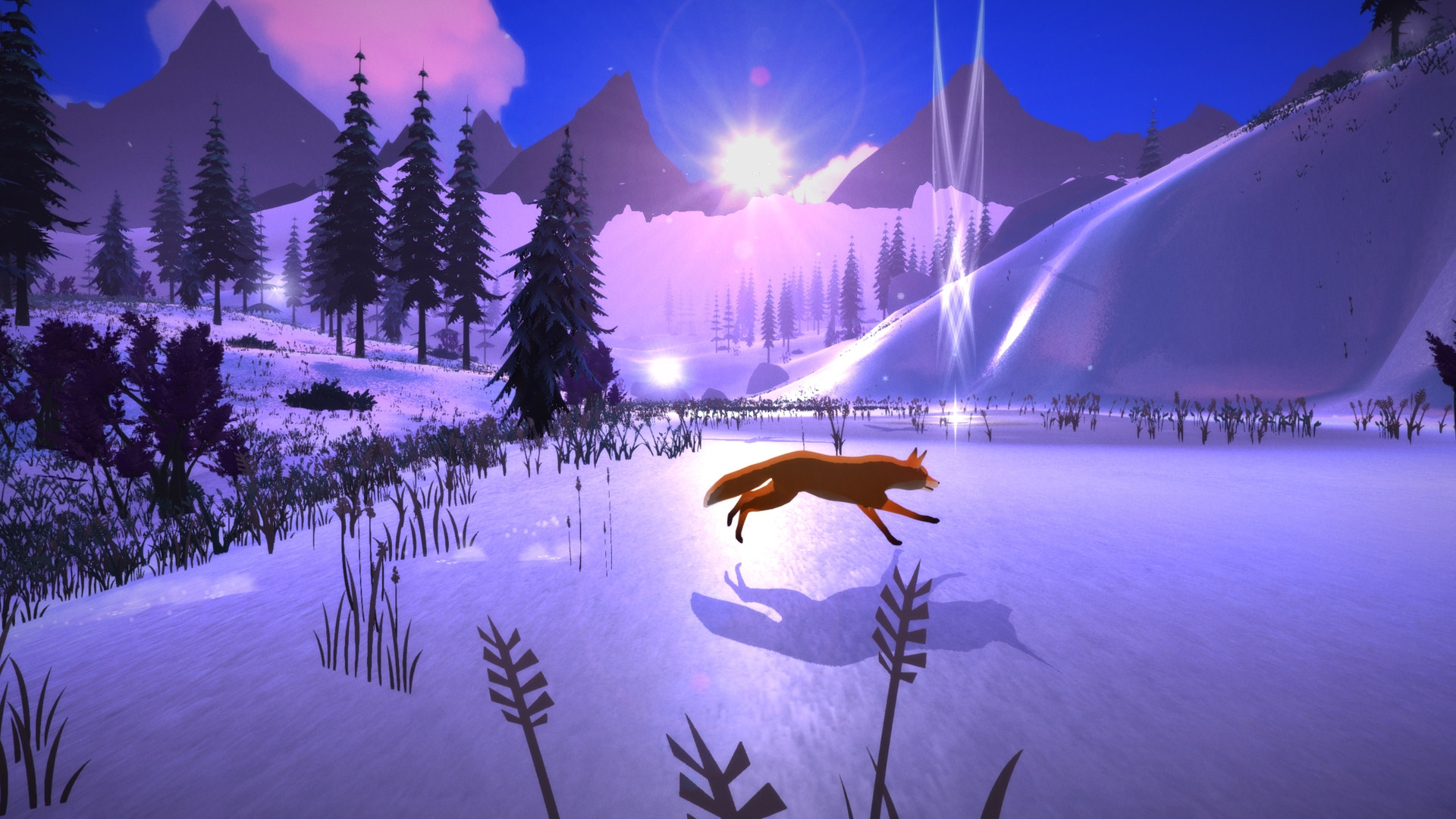 The First Tree - кадр 6