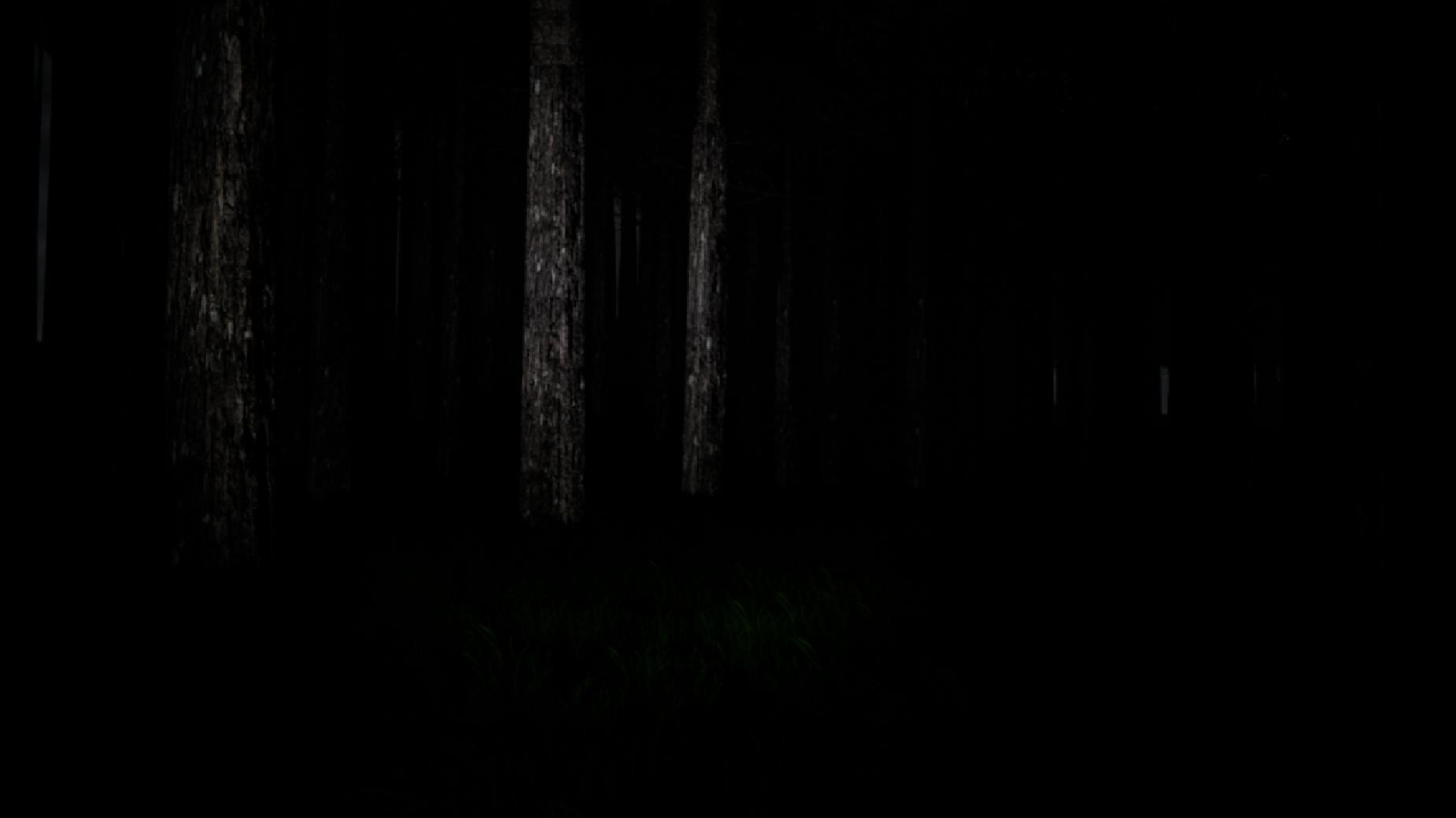 VR Forest (itch) - кадр 2
