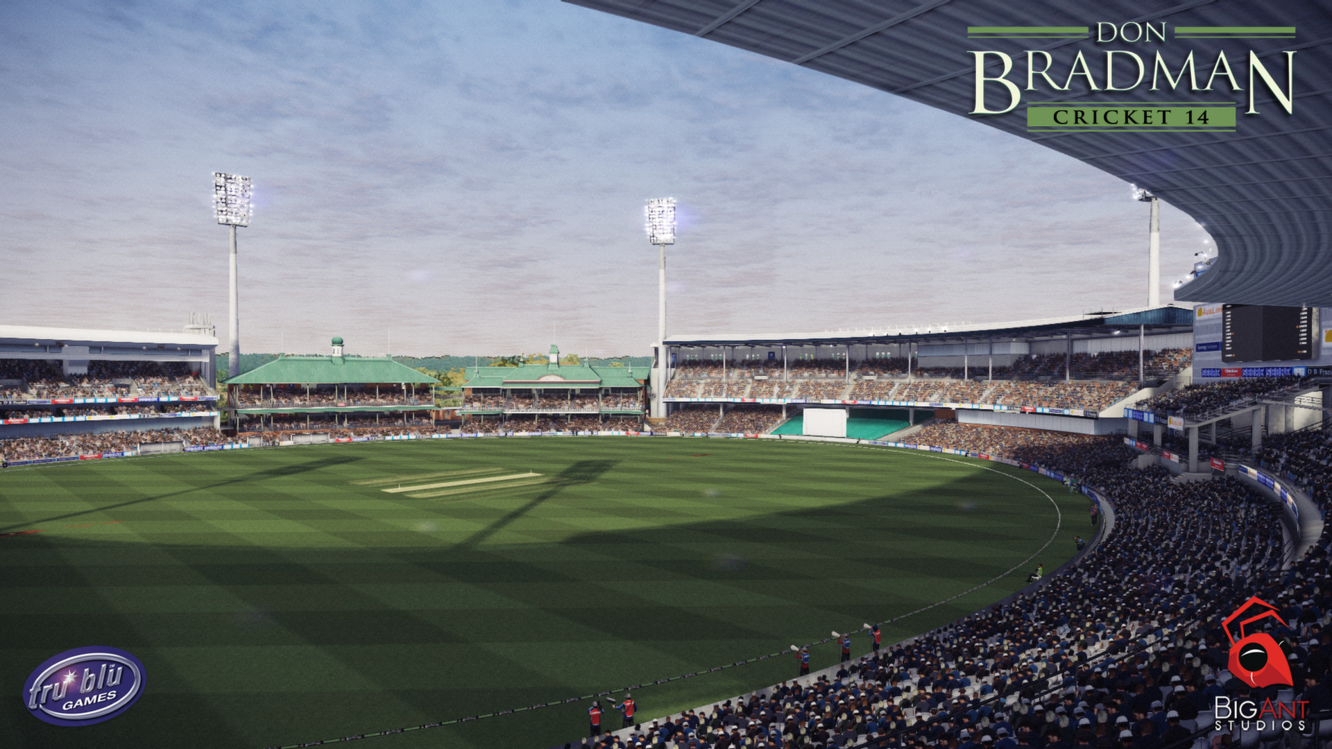 Don Bradman Cricket 14 - кадр 5