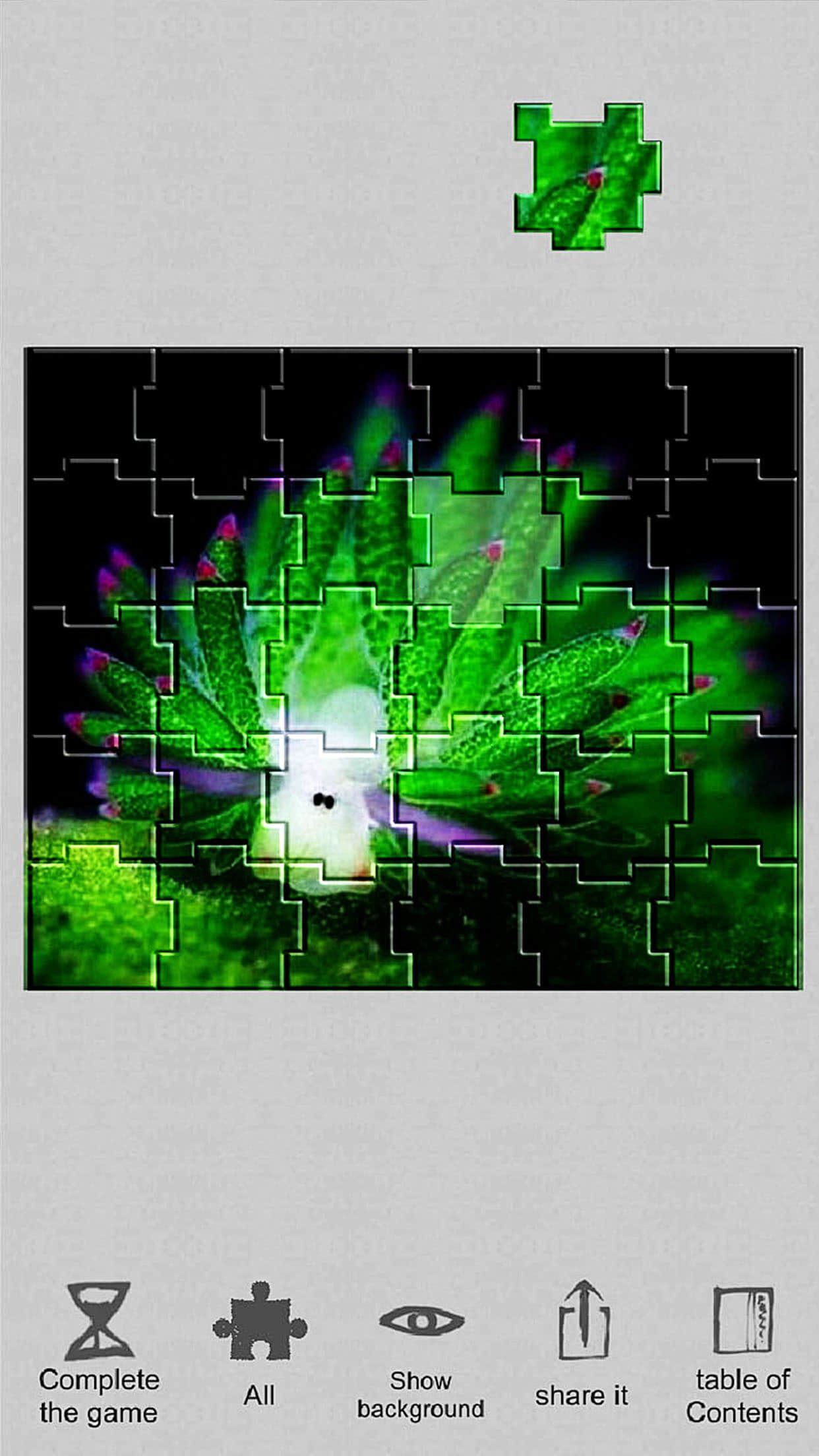 Jigsaw puzzle - Evolution - кадр 1
