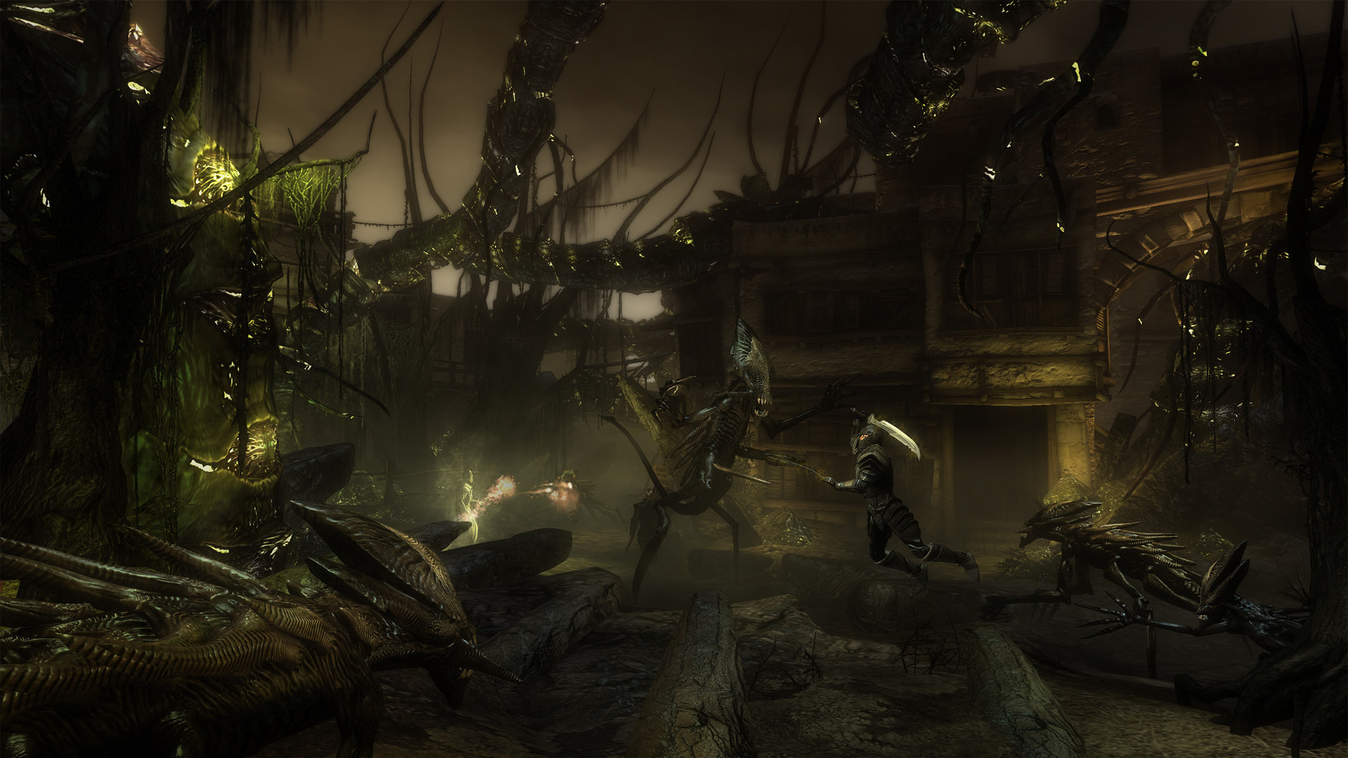 Two Worlds 2: Call of the Tenebrae - кадр 7