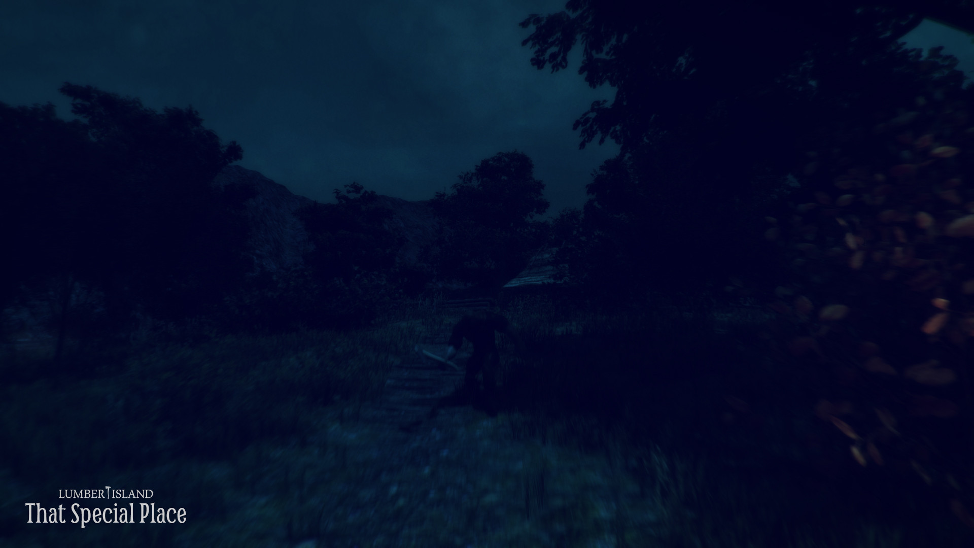 Lumber Island - That Special Place - кадр 8