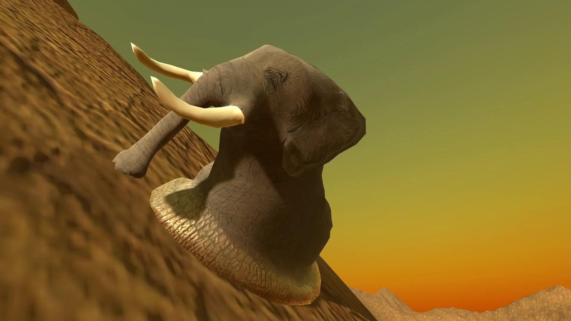 Elephantidae Gastropod Mollusc (itch) - кадр 3