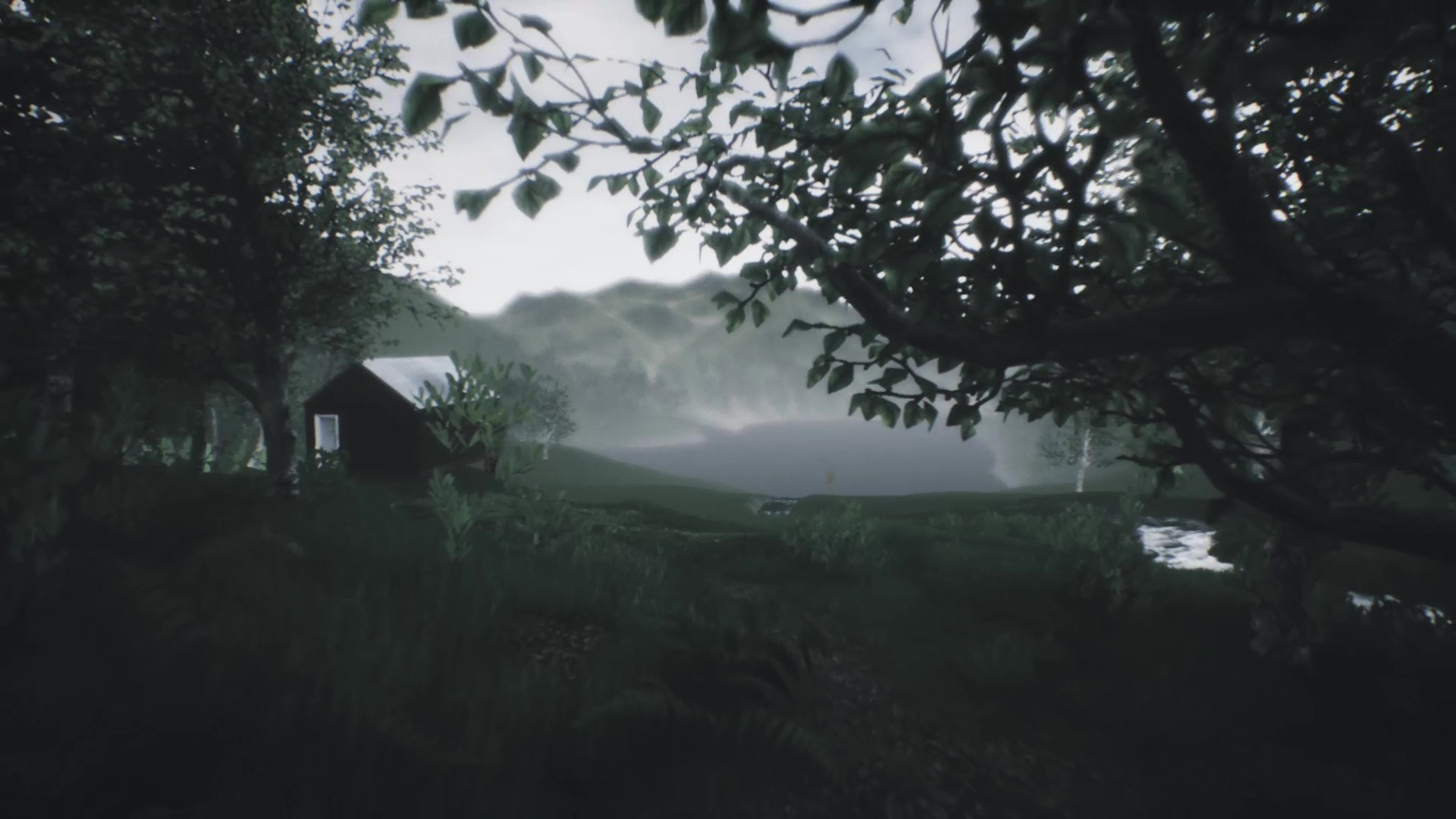 Explorable Forest Valley (itch) - кадр 3