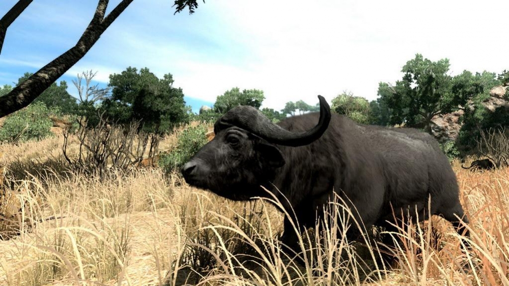 Cabela's Big Game Hunter 2010 - кадр 11
