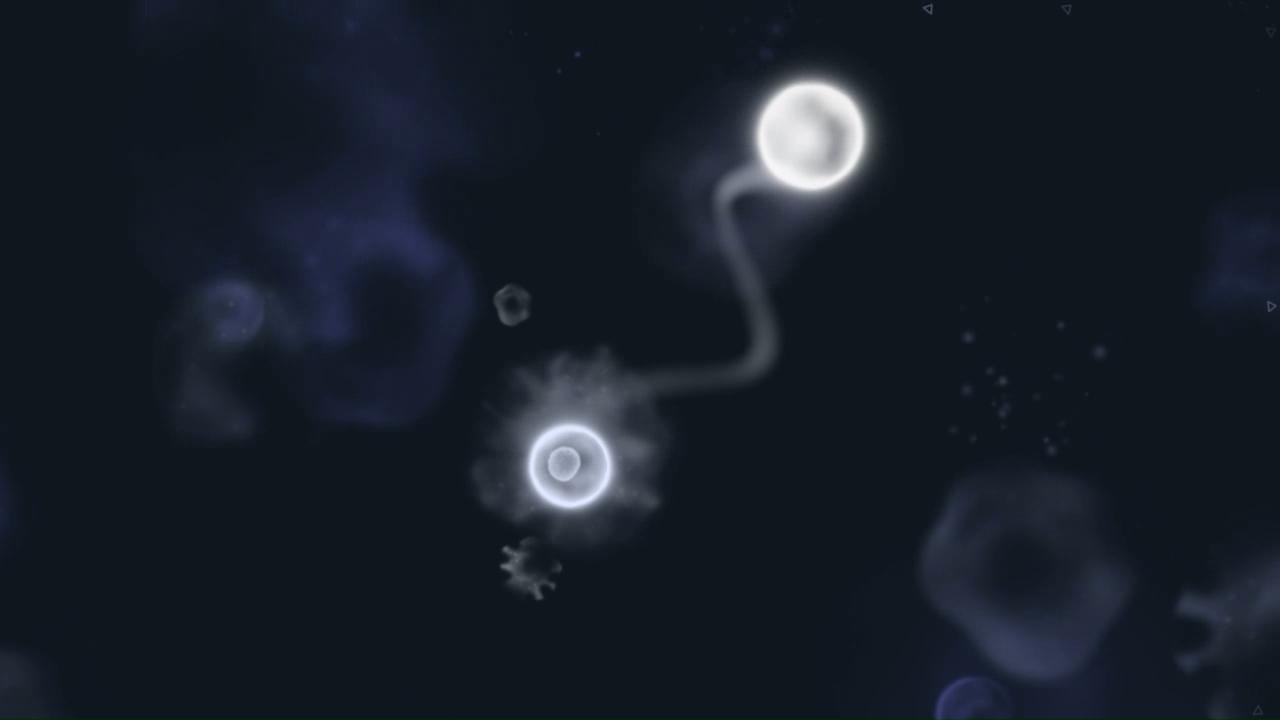 Pulse (itch) - кадр 5