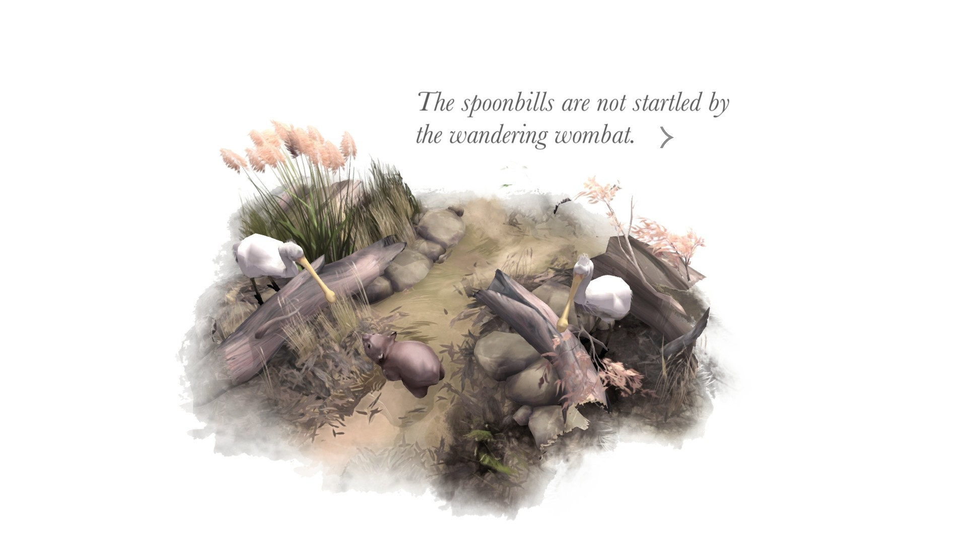 Paperbark - кадр 6