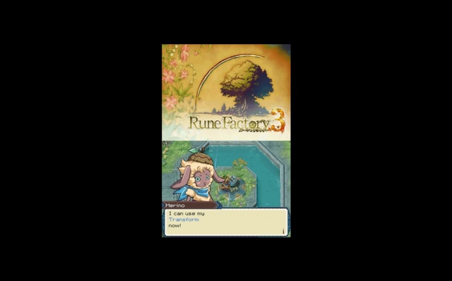 Rune Factory 3: A Fantasy Harvest Moon - кадр 3
