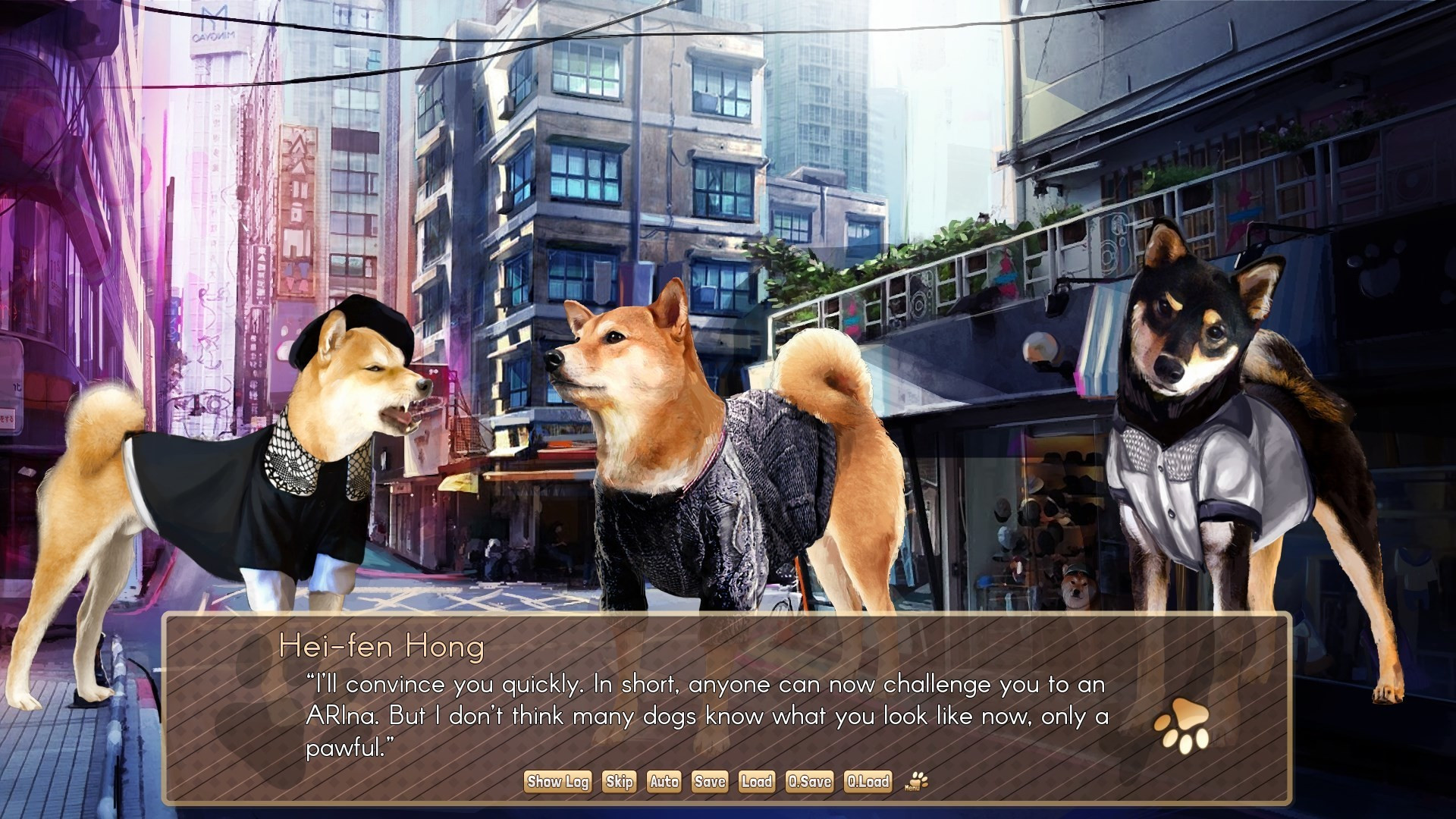 A Summer with the Shiba Inu - кадр 7