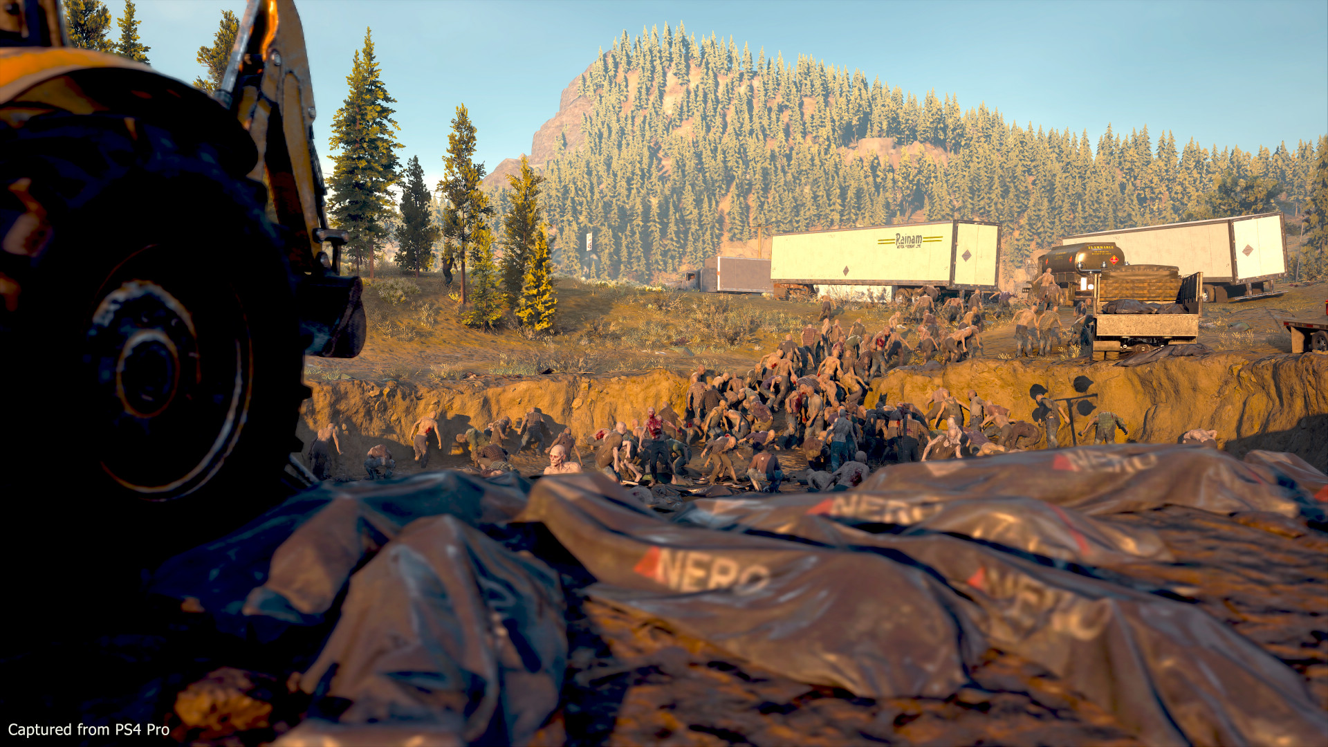 Days Gone - кадр 15