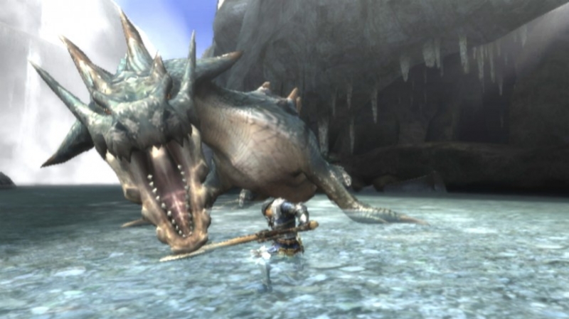 Monster Hunter 3 - кадр 3