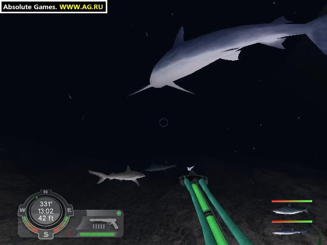 Shark! Hunting the Great White - кадр 8